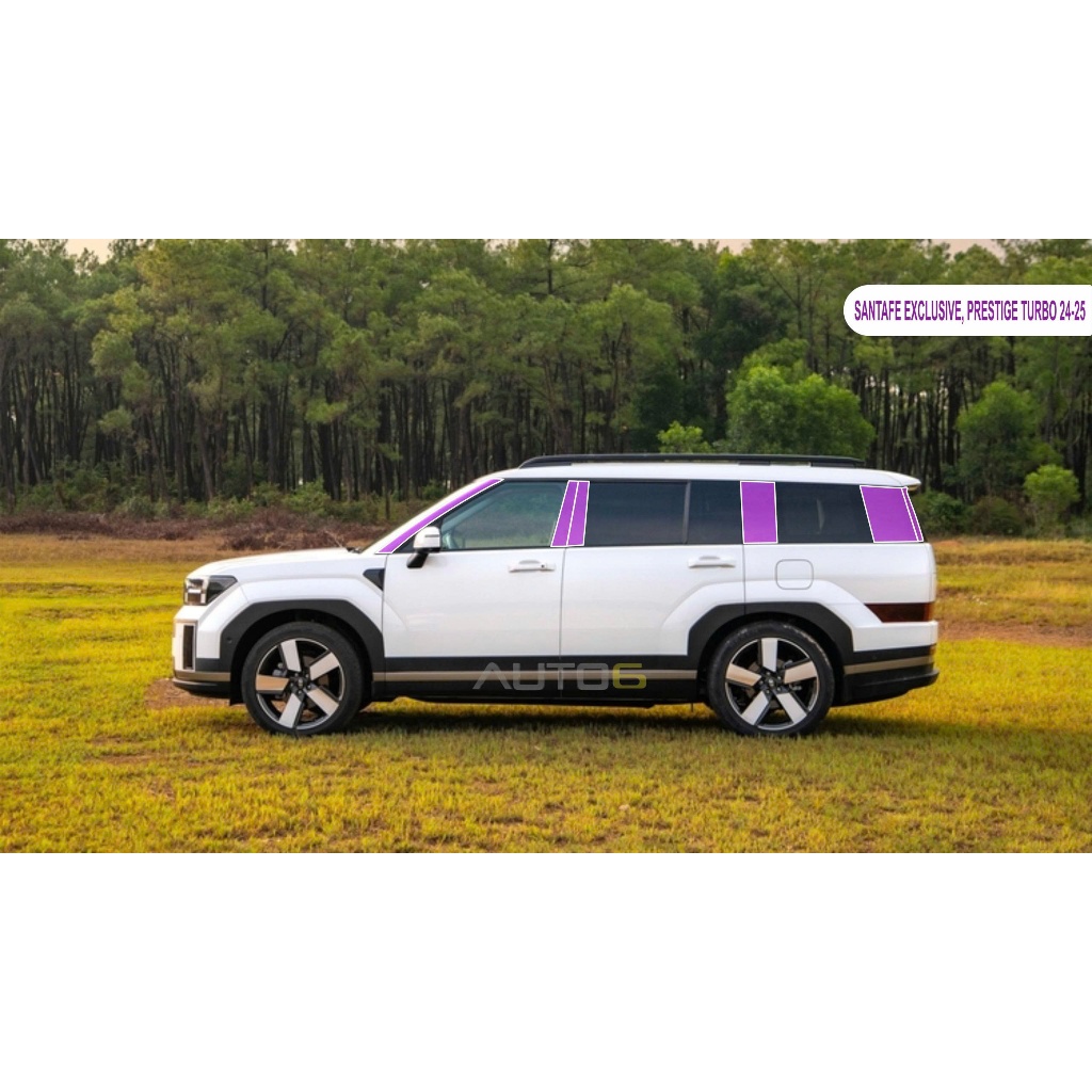 Film PPF dán TRỤ CỬA xe HYUNDAI SANTAFE 2024-2025 (Form mới), chống xước và che mờ vết xước nội thất ô tô -AUTO6 - Ảnh 2
